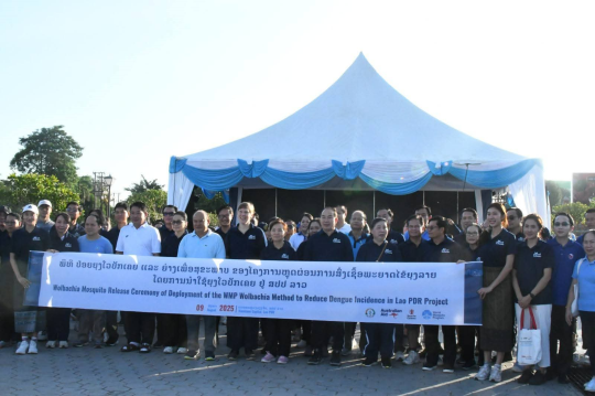 Vientiane Takes Bold Step to Beat Dengue with Wolbachia Mosquitoes