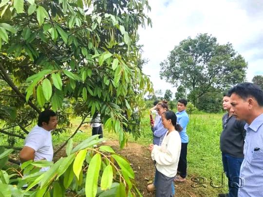 ຜູ້ປະກອບການທຸລຽນລາວ-ໄທ ແລກປ່ຽນ ບົດຮຽນການສົ່ງເສີມ ຖຸລຽນລາວໃຫ້ມີຄຸນນະພາບສູງ