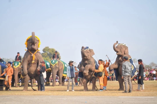 Xayabouly to Host 19th Elephant Festival in February 2026