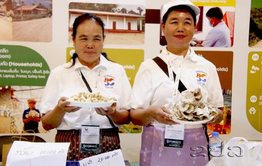 ປູກເຫັດຂາຍພາໃຫ້ຊີວິດການເປັນຢູ່ຂອງສະມາຊິກພາຍໃນກຸ່ມດີຂຶ້ນ