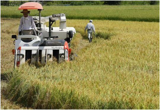 Japan&rsquo;s annual farm exports rise to new record 1.7 trillion yen
