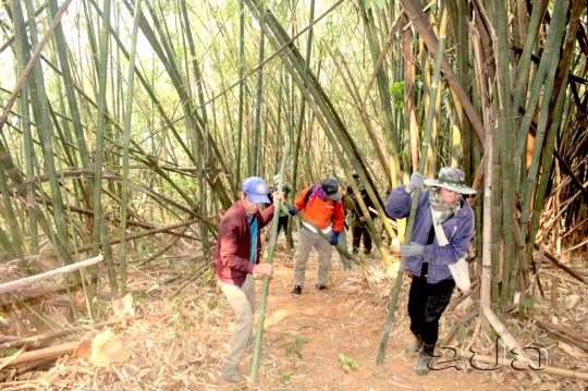ເຂັ້ມງວດ ປ້ອງກັນສະກັດກັ້ນໄຟໄໝ້ລາມປ່າ ແລະ ຄວບຄຸມມົນລະພິດ ທາງອາກາດ (ຝຸ່ນ PM2.5) ໃນຂອບເຂດທົ່ວປະເທດ