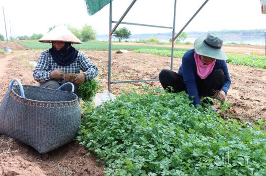 ຮອດປີ 2030  ບໍລິຄຳໄຊ ຈະແກ້ໄຂຄວາມທຸກຍາກໃຫ້ຍັງເຫລືອ 1,08%