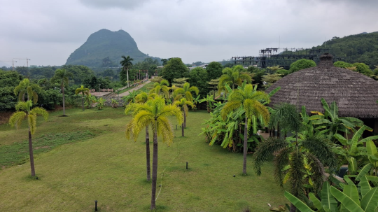 Escaping the Urban Grind: Guangxi’s ‘Wild Homestay’ Model Boosts Eco-Tourism and Rural Revitalization