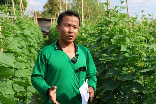 ຄອບຄົວຕົວແບບ ທ້າວ ບຸນທະໜອມ ວັງມະນີ ປູກພືດໝູນວຽນ ສ້າງລາຍຮັບ 200-400 ລ້ານກີບຕໍ່ປີ