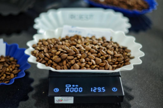 Sipping Success: How the Lao Green Coffee Competition is Elevating the Country’s Coffee Industry