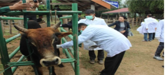 Raising Public Awareness on Animal Disease Prevention and Surveillance