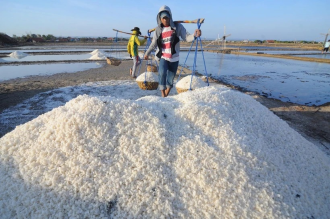 Indonesia to import millions of tonnes of salt: official