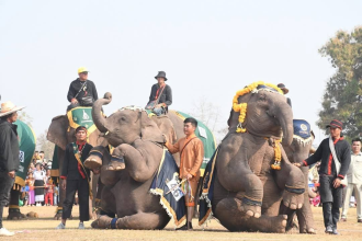 Xayabuly Holds the 18th Annual Elephant Festival