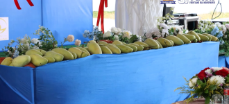 Laos Launches First-Ever Export of Fresh Mangoes to China