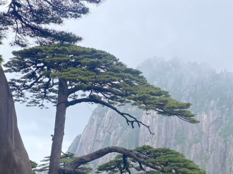Foreign Journalists Explore Huangshan Mountain, a UNESCO World Heritage Site