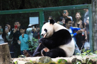 Nanjing’s Hongshan Forest Zoo reinvents itself as a model of modern zoological experience