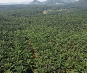 Indonesia urges EU to remove countervailing duty on biodiesel