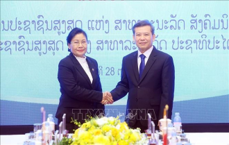 Vietnam, Laos seek to step up judicial cooperation 