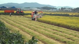 ສ.ເກົາຫລີ ຜະລິດເຂົ້າຫລຸດລົງ 4 ປີ ຕິດຕໍ່ກັນ