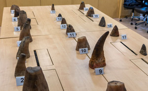 ສິງກະໂປ ຢຶດໜໍ່ແຮດຄັ້ງໃຫຍ່ທີ່ສຸດ