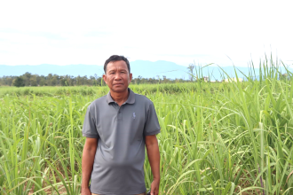 ປູກອ້ອຍ ຕາມກົນໄກ 2+3 ສາມາດສ້າງລາຍກວ່າ 1 ຕື້ກີບຕໍ່ປີ 