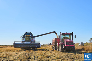 ຣັດເຊຍ ຄາດຜົນຜະລິດເຂົ້າ-ສາລີ ເພີ່ມຂຶ້ນ 10,6%