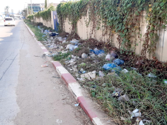 ຂີ້ເຫຍື້ອສາທາລະນະ 