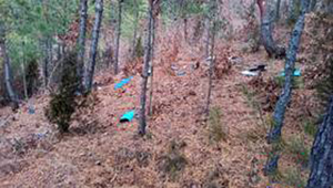 ອິນໂດເນເຊຍ ຈະຢຶດທີ່ດິນຜິດກົດໝາຍເພີ່ມຫລາຍລ້ານເຮັກຕາ