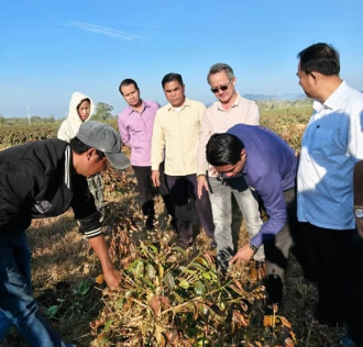  Cold Weather and Frost Damage Coffee Plants in Pakxong