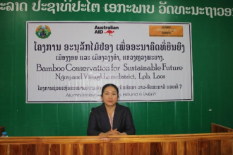 Conservation of Bamboo in Viengkham District Brings Sustainable Benefits to Local Communities