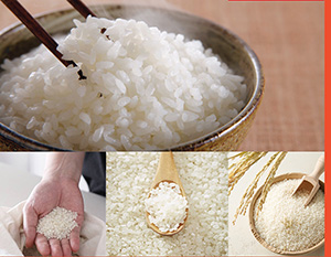 ສ.ເກົາຫລີ ບໍລິໂພກເຂົ້າຕໍ່າສຸດ ເປັນປະຫວັດສາດ ໃນປີ 2025