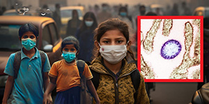 ເກີດການແພ່ລະບາດເຊື້ອພະຍາດນີປາຢູ່ ອິນເດຍ ມີອັດຕາການເສຍຊີວິດສູງເຖິງ 75%