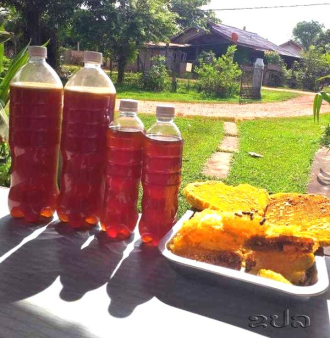 Beekeeping Generates 200 Million Kip in Annual Revenue