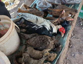  ການປົກປັກຮັກສາສັດນໍ້າ-ສັດປ່າ ໃນເຂດປ່າສະຫງວນແຫ່ງຊາດນໍ້າຫ້າຍັງເປັນສິ່ງທ້າທາຍ