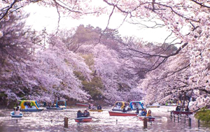 ຍີ່ປຸ່ນ ຊຸກຍູ້ການທ່ອງທ່ຽວເປັນອຸດສາຫະກຳຫລັກ