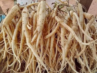 ເຊກອງມີຫລາຍທ່າແຮງໃນການປະຕິບັດມະຕິວ່າດ້ວຍການສ້າງເສດຖະກິດເອກະລາດ ເປັນເຈົ້າຕົນເອງ ໃນໄລຍະໃໝ່   