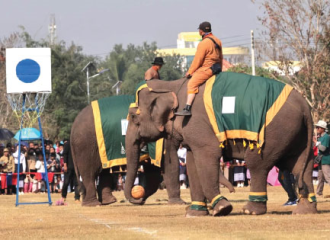 ມະຫະກຳບຸນຊ້າງ ຄັ້ງທີ 19 ຈັດຂຶ້ນຢ່າງຄຶກຄື້ນ