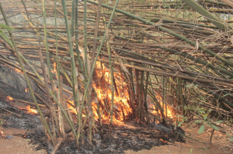 ເຂັ້ມງວດ ປ້ອງກັນສະກັດກັ້ນໄຟໄໝ້ລາມປ່າ ແລະ ຄວບຄຸມມົນລະພິດ ທາງອາກາດ (ຝຸ່ນ PM2.5) ໃນຂອບເຂດທົ່ວປະເທດ