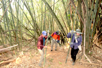 ເຂັ້ມງວດ ປ້ອງກັນສະກັດກັ້ນໄຟໄໝ້ລາມປ່າ ແລະ ຄວບຄຸມມົນລະພິດ ທາງອາກາດ (ຝຸ່ນ PM2.5) ໃນຂອບເຂດທົ່ວປະເທດ