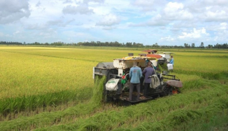 ຫວຽດນາມ ສົ່ງອອກຜະລິດຕະພັນກະເສດ-ສິນໃນນໍ້າ ບັນລຸເກືອບ 16,7 ຕື້ໂດລາ