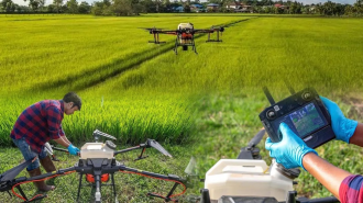 ຈີນ ມີເຮືອບິນບໍ່ມີຄົນຂັບ ດ້ານກະສິກຳ ຫລາຍກວ່າ 300.000 ລຳ