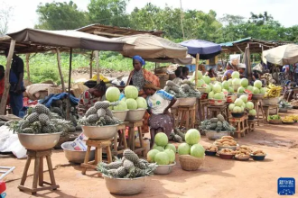 ສປ ຈີນ ຈະປະຕິບັດນະໂຍບາຍຍົກເວັ້ນພາສີ ຢ່າງຮອບດ້ານຕໍ່ 53 ປະເທດໃນອາຟຣິກາ