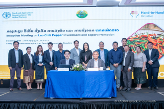 Lao PDR, FAO Launch Initiative to Boost Chili Pepper Exports and Attract International Investment