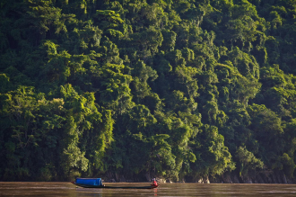 Regional leaders gather to protect primary forests in S.E. Asia and the Pacific