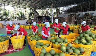 Vietnam&rsquo;s fruit, vegetable exports exceed 2.67 billion USD in five months