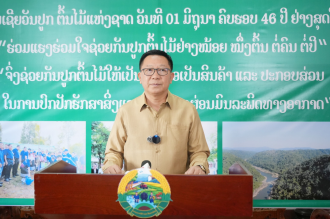 Laos Launches Nationwide Tree Planting Campaign Targeting Over 7,300 Hectares