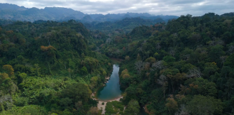 Laos Ranks Second in ASEAN for Forest Coverage