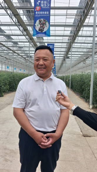 From Seed to Table: Anhui Entrepreneur Uses Agrotech to Transform China’s Tomato Industry