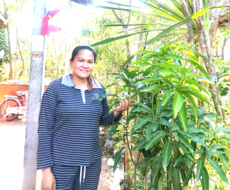 ຮ້ານຂາຍເບ້ຍໄມ້ລາຄາຖືກບ້ານຊຽງດາ ມີຕົ້ນໄມ້ຈໍານວນຫລາຍເພື່ອຮອງຮັບວັນປູກຕົ້ນໄມ້ແຫ່ງຊາດ