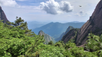 Guardian of China’s Iconic Guest-Greeting Pine Keeps Watch Above the Clouds
