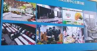 Pingxiang Border Hub Drives Rapid Growth in China-ASEAN Fruit Trade