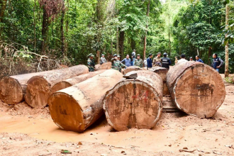 Savannakhet Cracks Down on Illegal Gold Mining and Logging, Detains 21 Suspects