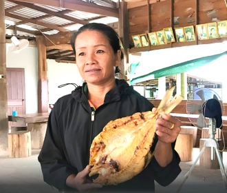 ຂາຍປາແຫ້ງສາມາດ ສ້າງລາຍຮັບ 200-300 ລ້ານກີບຕໍ່