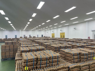 Soukchaleun Farm Expands Integrated Egg Production Chain to Strengthen Domestic Supply